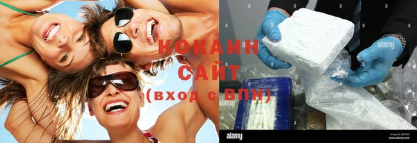 гидра Богородицк