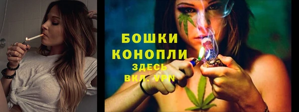 гидра Богородицк