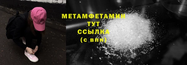 гидра Богородицк