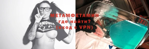 гидра Богородицк
