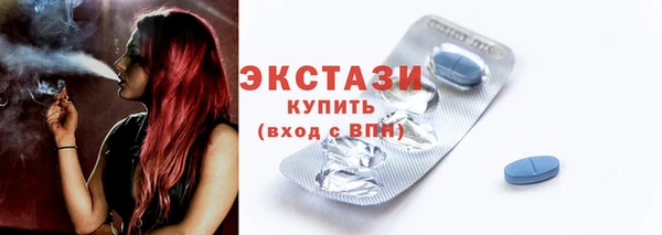 гидра Богородицк