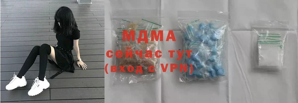 гидра Богородицк