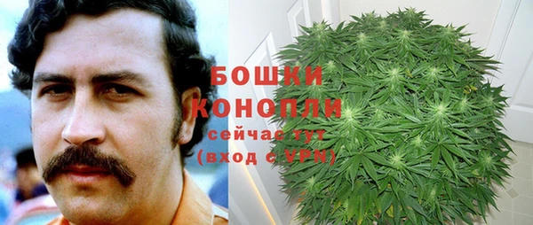 ГАЛЛЮЦИНОГЕННЫЕ ГРИБЫ Богородск