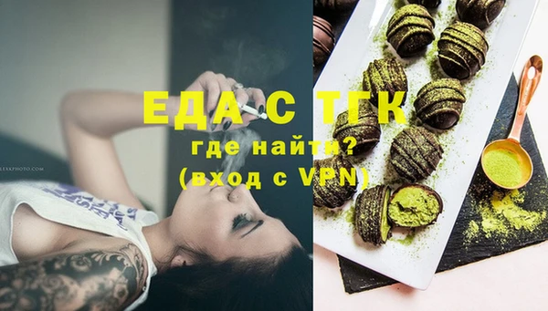 гидра Богородицк
