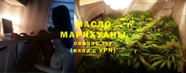 гидра Богородицк