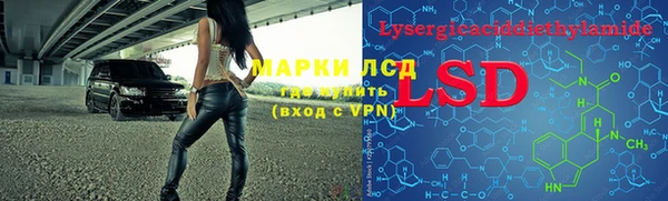 гидра Богородицк